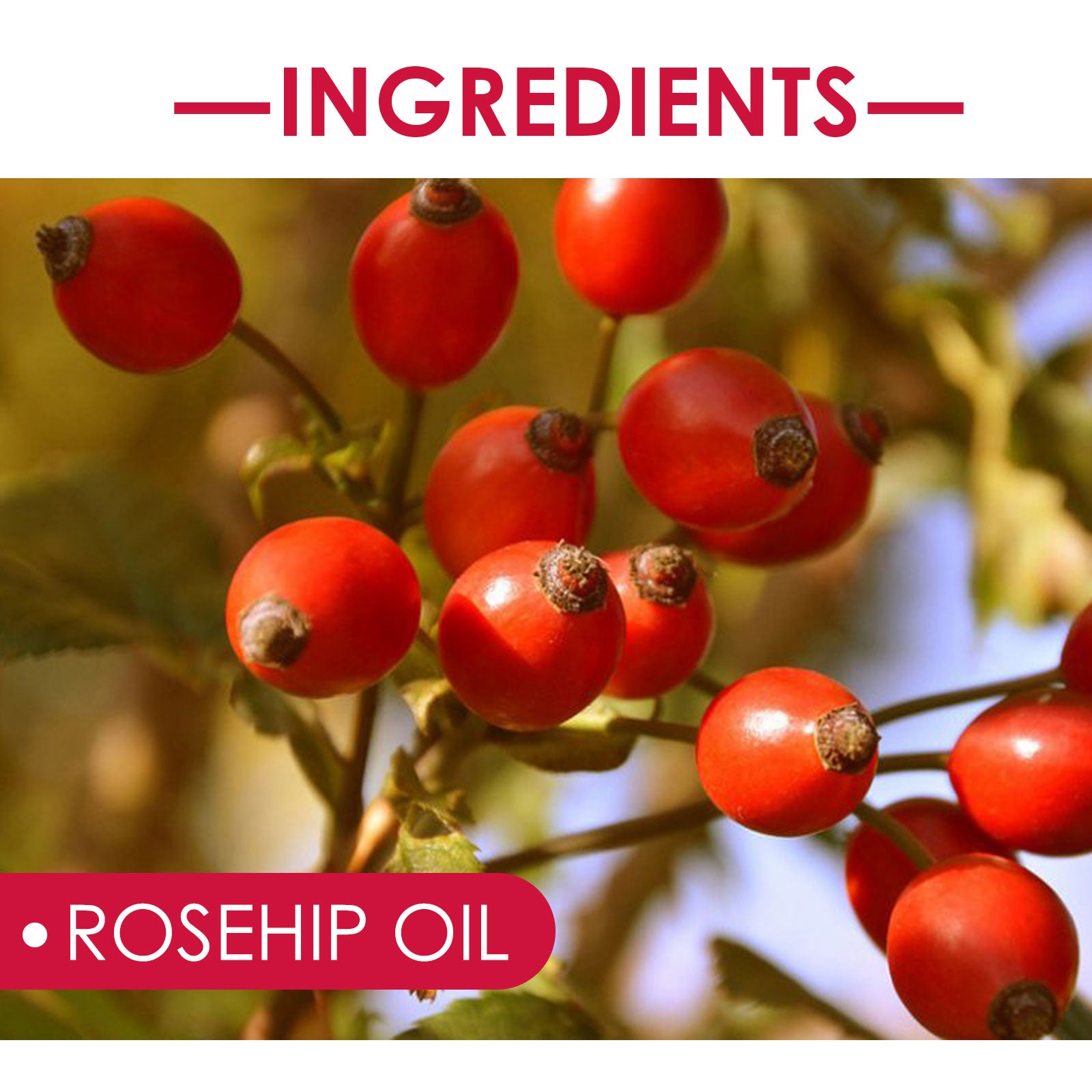 EELHOE Rosehip Facial Oil – Hydrating Glow Face & Body Oil